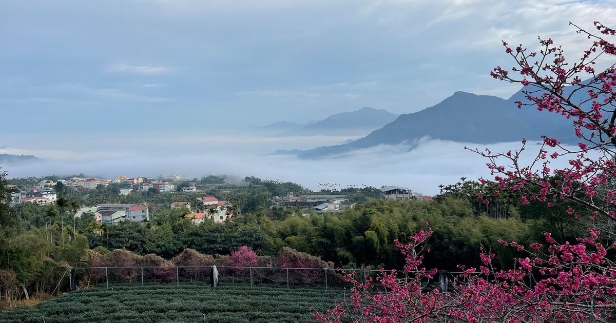 官網訂房 鳳凰·森之鳴 OwlNest區塊鏈旅宿系統