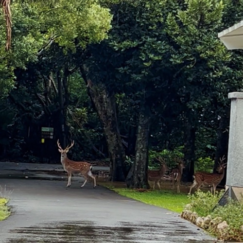  🧨2026冬日漫活-續住優惠🧨