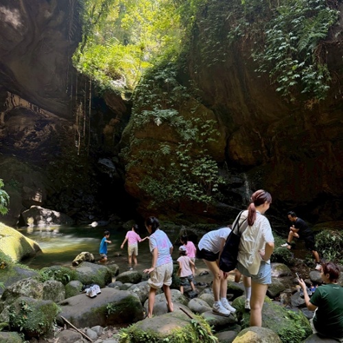 山裡生活 自然步道之旅