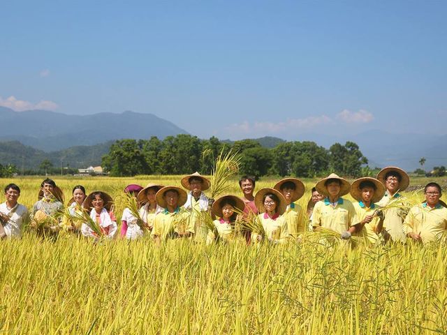 【有機長秈(香米)白米2公斤×2包】來自有機夢想村的米