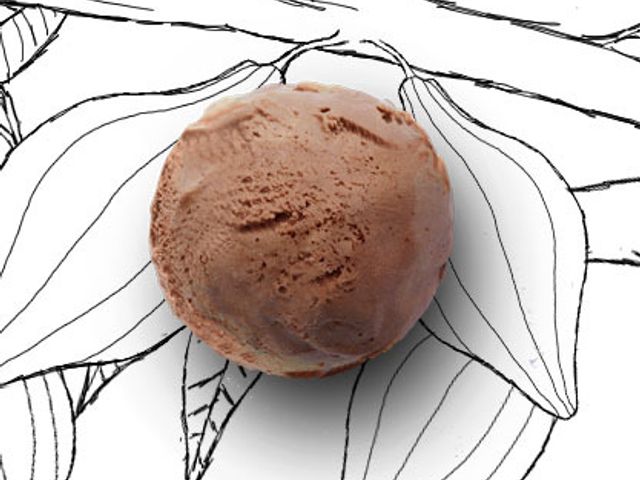  【米歇爾．柯茲巧克力冰淇淋】精選法國頂級可可莊園