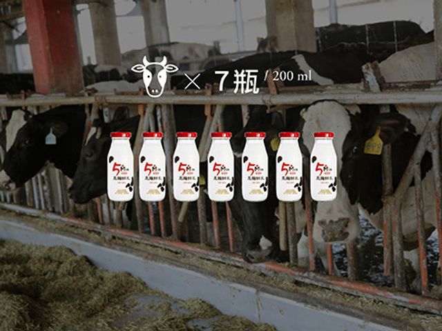 【200cc 五梅玻璃瓶鮮乳 7瓶組】五梅獎牧場品質保證鮮奶 小時候喝的古早味牛奶! 