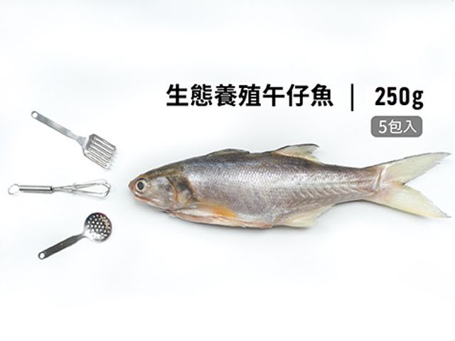 【飼好漁 生態養殖午仔魚250g 五包組】用好飼料好環境養好魚