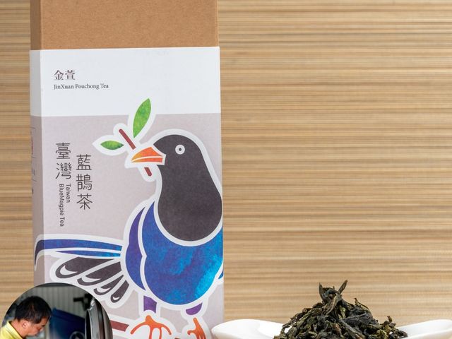 【臺灣藍鵲茶 金萱 120g】來自坪林的環境友善茶