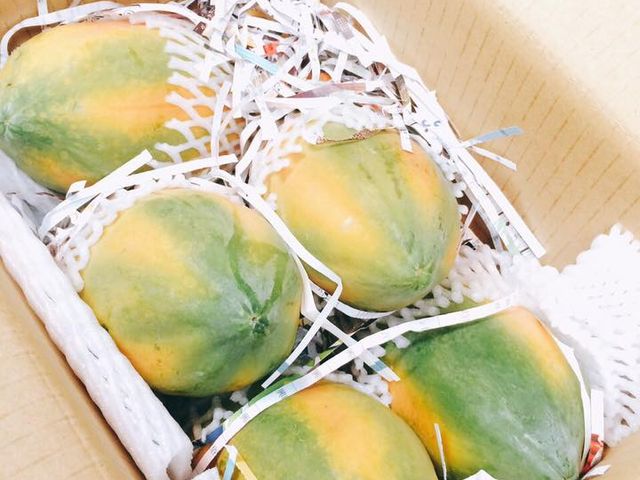 【台南楠西 阿華老媽與老爹的木瓜 20斤裝】清爽甜美，回味無窮