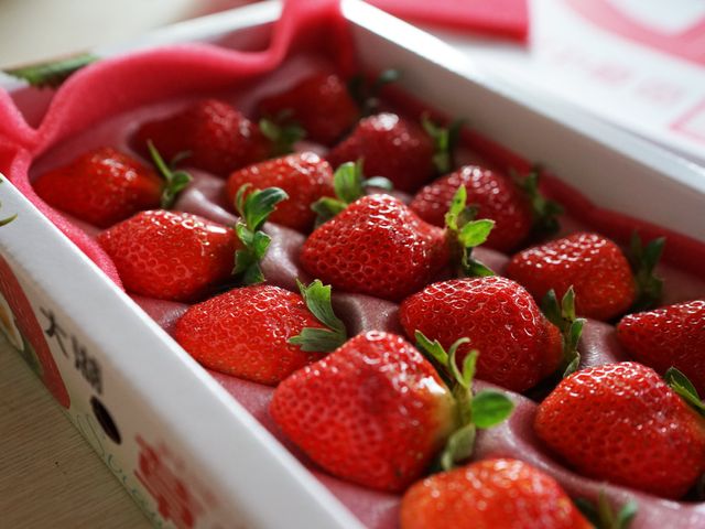【限量出貨  經典豐香草莓優級*3盒入】鮮食草莓霸主   冬季不得不嚐的酸甜滋味