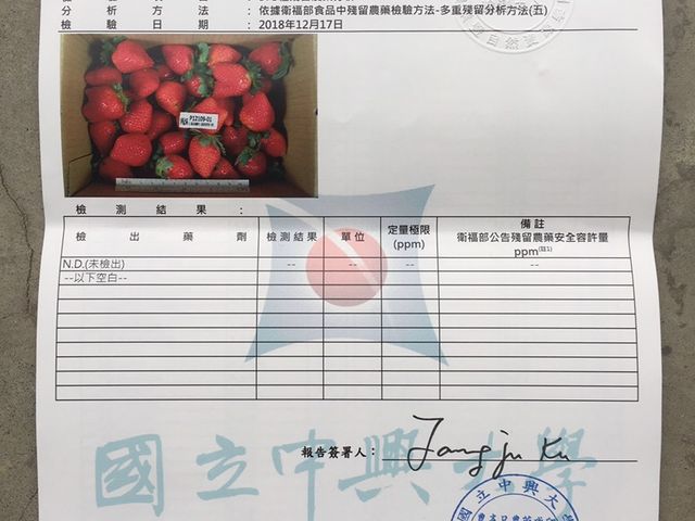 【限量出貨  經典豐香草莓特優級*3盒入】鮮食草莓霸主   冬季不得不嚐的酸甜滋味
