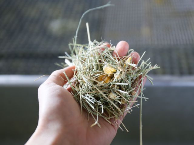 【鮮奶 免運費組合16大罐 適辦公室團購】好同事揪團 一起品嚐真正的濃純牛奶!