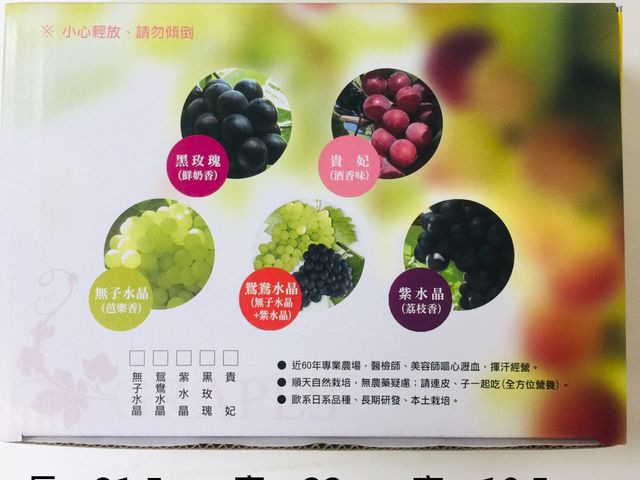 【限量預購 珍稀品種 紫水晶葡萄 2.5斤】皮薄汁多的超鮮嫩果肉