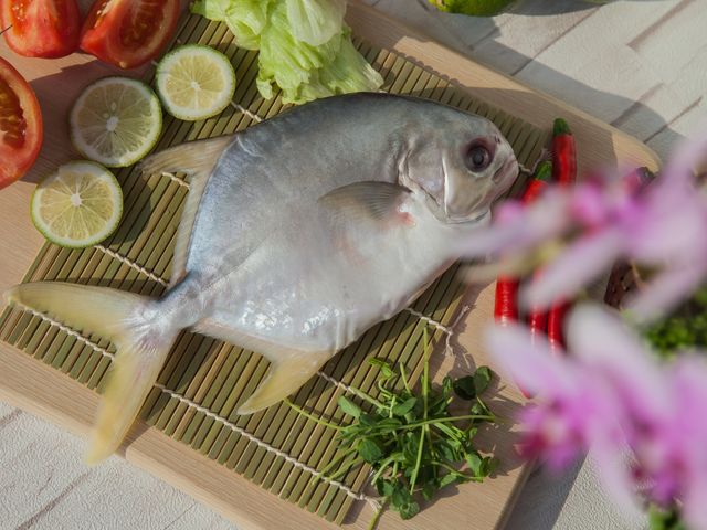 【美味海鮮 黃金鯧 300g 單尾】用好飼料好環境養好魚