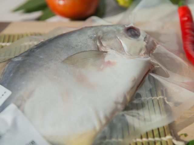 【美味海鮮 黃金鯧 400g 五入組】用好飼料好環境養好魚