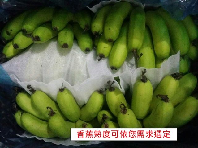 【集集運輸合作社 - 一等山蕉禮盒 5公斤裝】外銷日本頂級山蕉，香蕉香傳香數十載的Q甜美味！