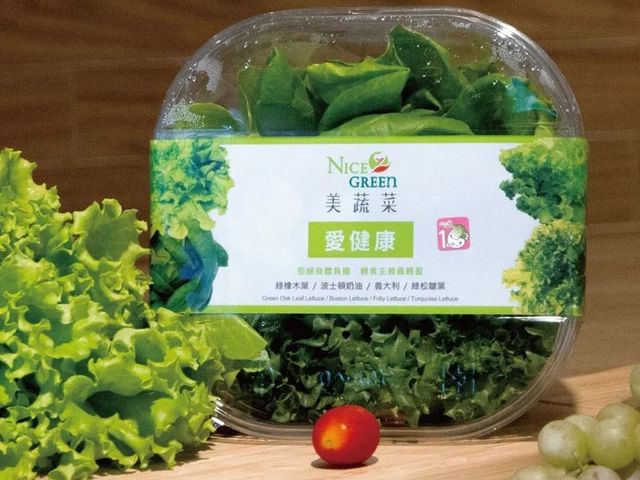 【NICE GREEN 愛健康美蔬菜盒(附醬料)】腰瘦好輕盈 大尺碼Bye~