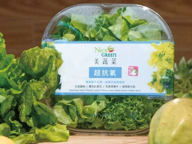 【NICE GREEN 超抗氧美蔬菜盒(附醬料)】逆齡好年輕 抗皺霜Bye~