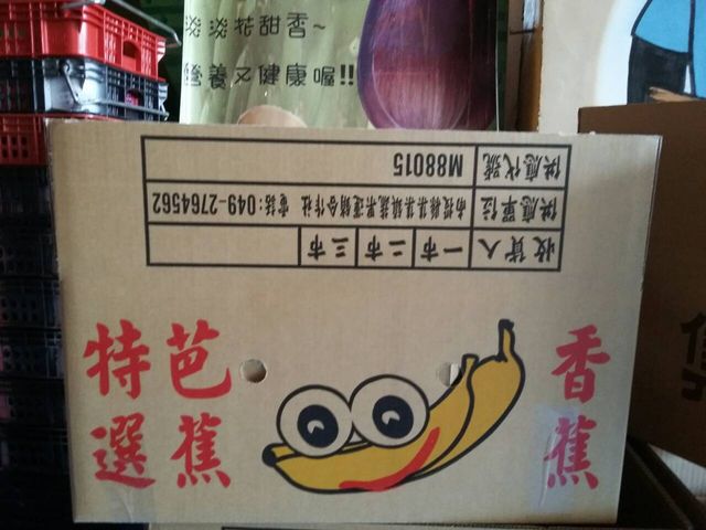 【集集運輸合作社 - 一等山蕉禮盒 15公斤裝】外銷日本頂級山蕉，香蕉香傳香數十載的Q甜美味！