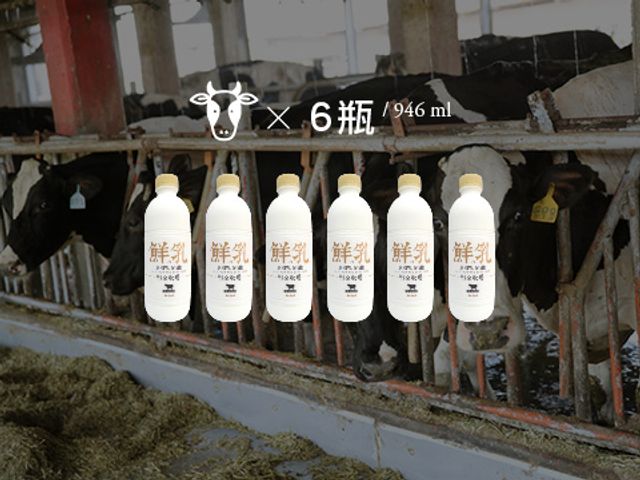 【明全鮮乳 946ml 6瓶組】超高標準牧場管理的牛奶 第二代瞞著父親也要完成的使命鮮奶