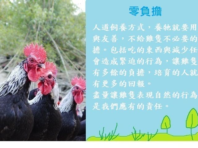 【生鮮雞腿絞肉】南台灣自然放養土雞 新鮮配送到府!