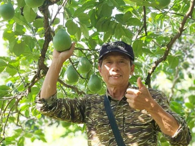 【花蓮瑞穗  鶴岡有機文旦10斤紙箱裝】甜中帶酸的好滋味～