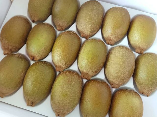 【涮嘴預購 無毒黃金奇異果16粒裝】黃金比例的酸甜獼猴桃