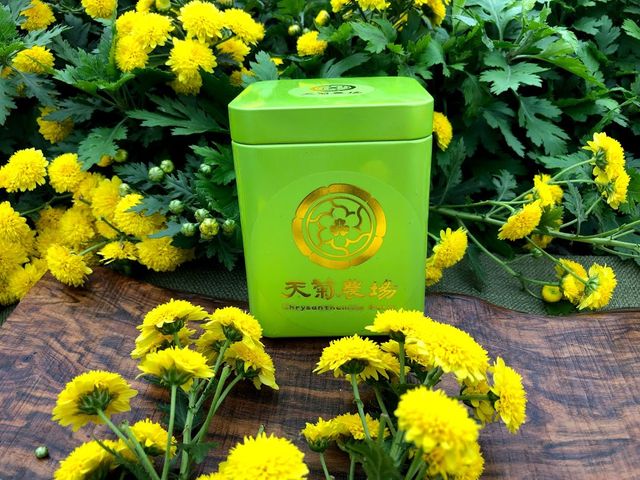 【天菊茶包12入綠盒】自然農法杭菊與愛菊人共享