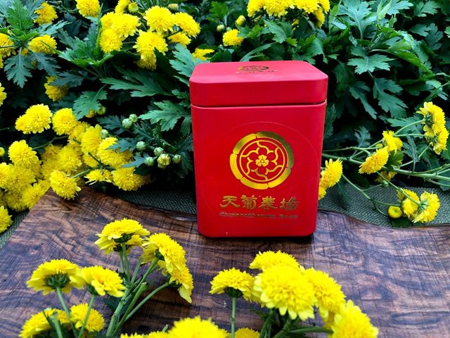 【天菊花加枸杞茶包12入紅盒】自然農法杭菊與愛菊人共享