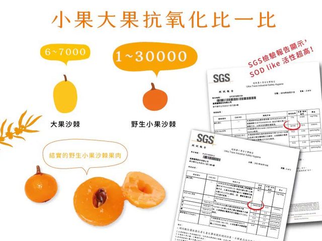 【橙十 野生小果沙棘汁經濟家庭號】體內環保好幫手