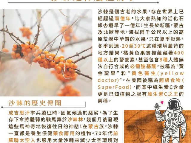 【橙十 野生小果沙棘汁經濟家庭號】體內環保好幫手