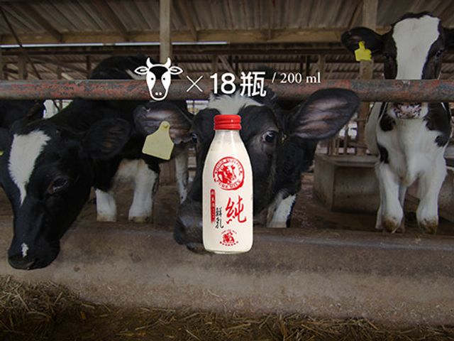 【新生活純牛乳 200ml 18瓶裝】100%純生乳製造的牛奶 高雄橋頭在地單一乳源