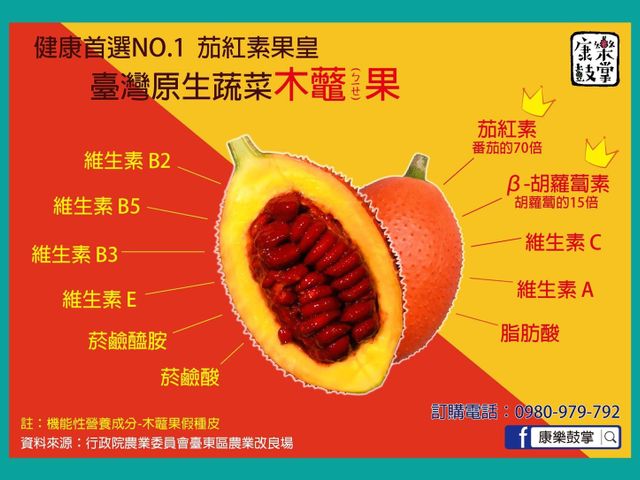 【台東康樂 台灣原生木虌果 6斤裝】含有豐富營養素的天堂果