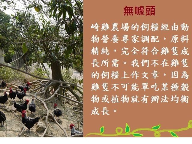 【生鮮雞胸肉切丁】健康活力來自完全放養 肉質飽滿有彈性