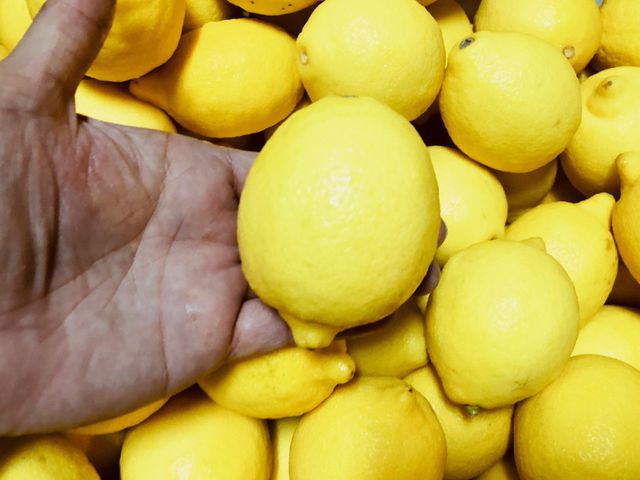 【成熟才採收 來自美國加州的黃檸檬3斤×2盒】果香濃郁 香甜多汁