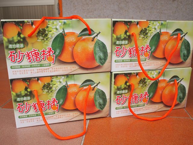 【南投竹山 友善老欉砂糖橘3.5斤×4盒】小巧玲瓏柑橘如珍珠般珍貴 每一口都鮮甜美味！