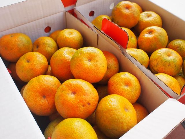 【南投竹山 友善老欉砂糖橘3.5斤×4盒】小巧玲瓏柑橘如珍珠般珍貴 每一口都鮮甜美味！
