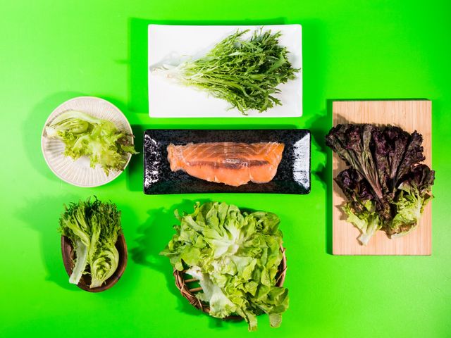 【土耕無毒生菜綜合包6入+煙燻鮭魚3包 免運組】滿滿的蔬菜纖維 超豐富的蛋白質