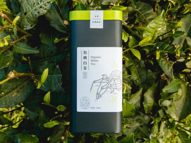 【綠光農園 有機白茶(紅玉) 單罐25g】來自守護樹蛙的有機茶園