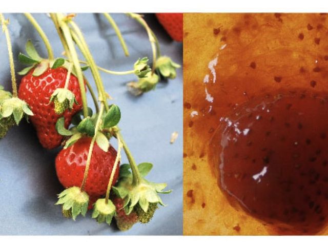 【法式手工果醬｜獅潭 草莓果醬】獨家冷藏釀漬技術 釀出草莓的迷人酸甜