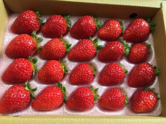 【苗栗後龍 有機草莓 300gx2盒】豔紅飽滿酸甜 有機吃的更安心