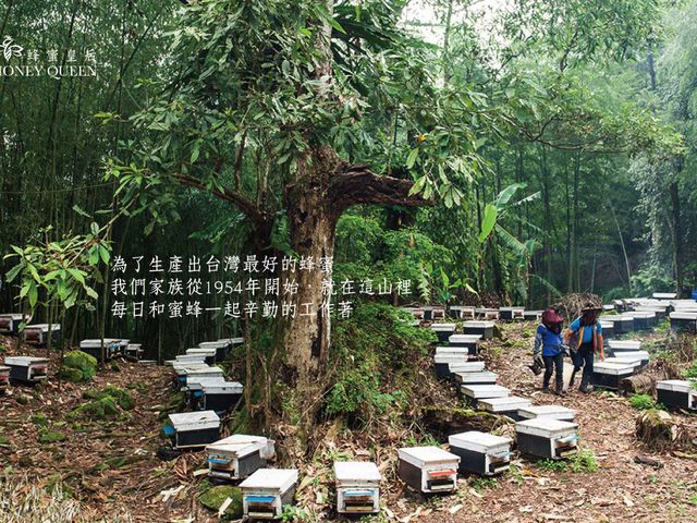 【蜂蜜皇后經典禮盒(蜂蜜180g×2+花粉75g×1)】台灣極品中段蜜 一年只採收一次
