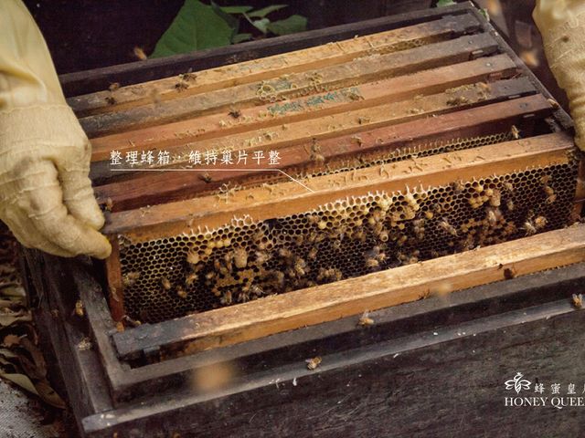 【蜂蜜皇后經典禮盒(蜂蜜180g×2+花粉75g×1)】台灣極品中段蜜 一年只採收一次
