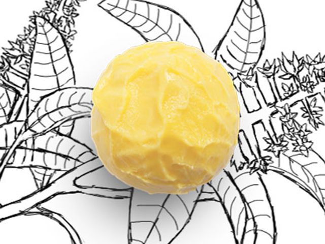 【愛文芒果冰淇淋】酸與特地保留的果實內籽，彼此畫龍點睛