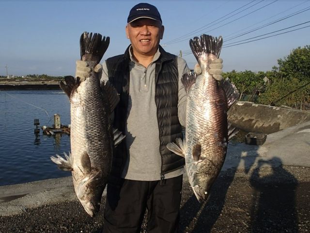 【湧升海洋 - 金目鱸魚魚片3入組(300g2片/包)】養殖兩年以上的大鱸魚！