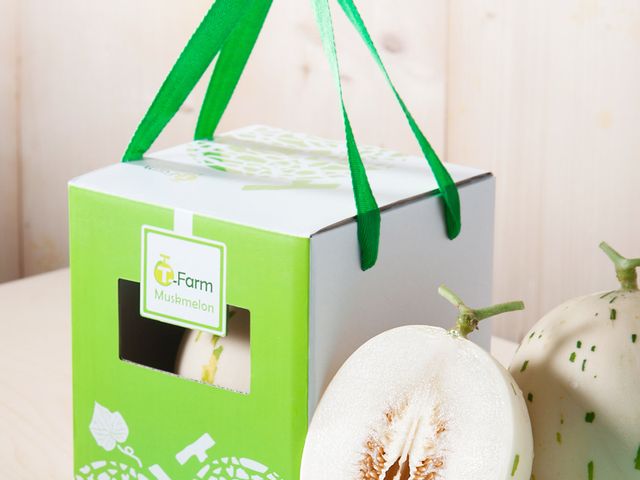 【斑比洋香瓜單入禮盒(1.5~1.8kg)】日本頂級月露瓜 產量極少甜度破表
