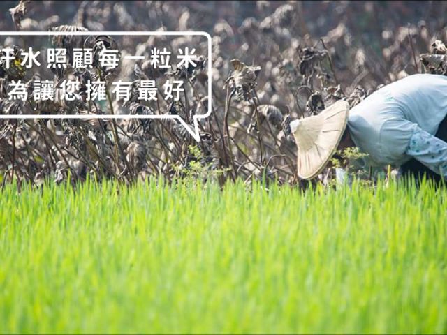 【米的故鄉 雲林玉香米2kg/包】玉山碾米一甲子的口碑 堅持好品質的白米