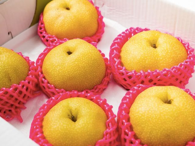 【梨子成熟了！日本超夯品種 豐水梨11A級禮盒(10顆裝)】果肉細緻 脆甜多汁！