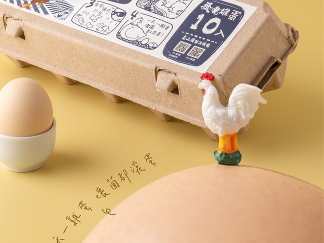 【發電雞 - 雞蛋10顆/盒ｘ6盒】吃得到雞的原汁原味！