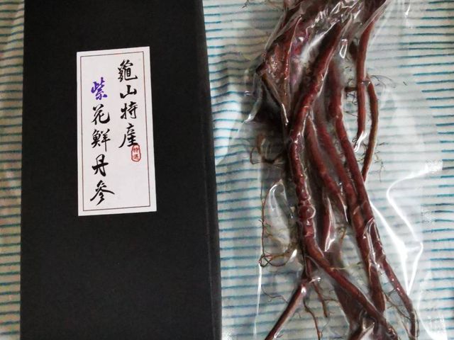 【源之寶 紫花鮮丹蔘100g×4包】台灣本土養生藥膳食材『丹參』