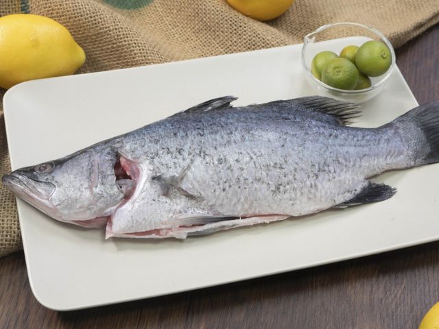 【天和鮮物 海鱸魚全魚(未切) 340g】營養價值高 術後保養聖品