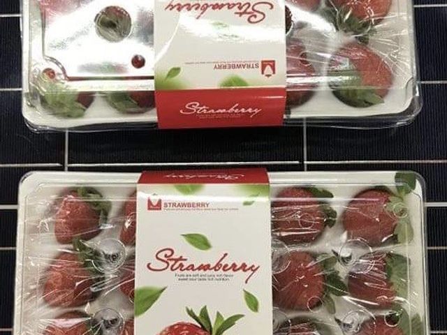 【搶先預購！青農阿豪 有機香甜草莓300gx4盒】紅嫩酸甜好滋味 無毒好安心