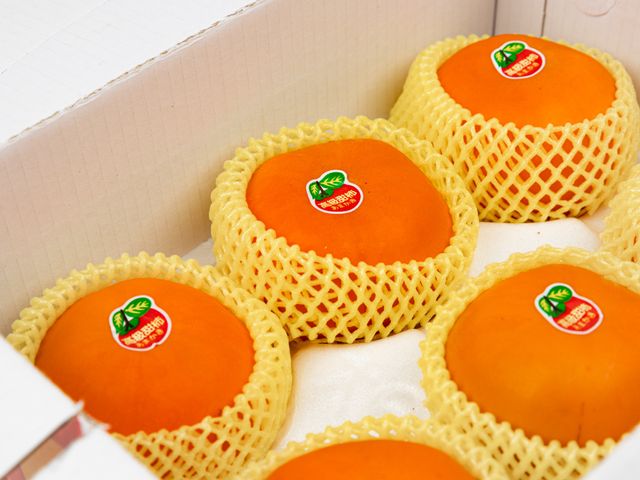 【蘿拉的大雪山甜柿6粒裝(8A)】口感脆甜多汁 超人氣柿子！