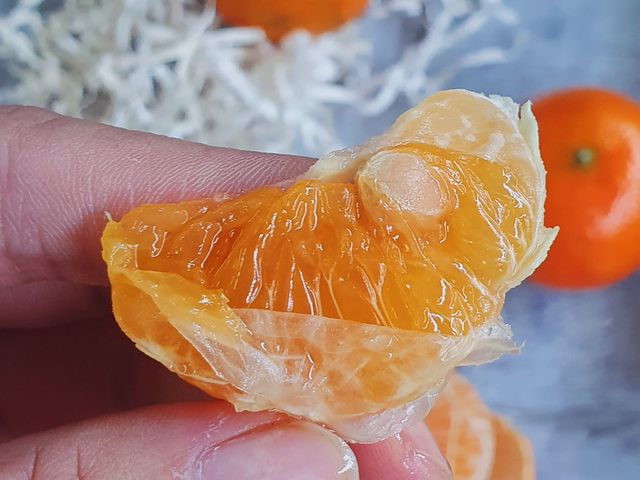 【免運！雲林古坑 賣到缺貨的紅蜜柑5斤裝】台灣甜度高的柑橘，皮薄多汁又香甜